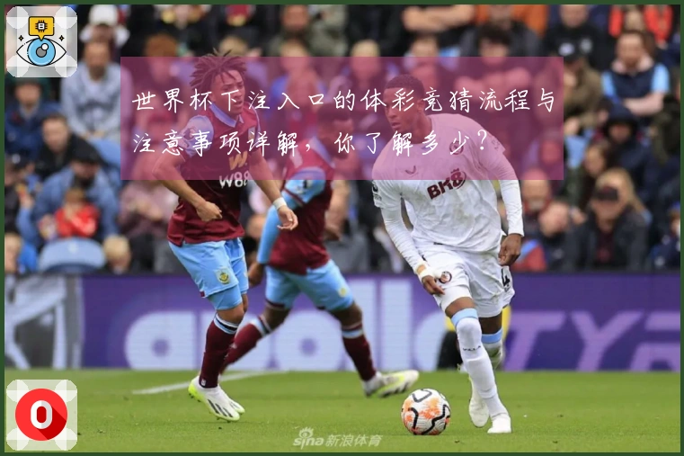 世界杯下注入口的体彩竞猜流程与注意事项详解，你了解多少？